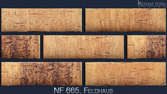 Фасадна термопанель з клінкерною плиткою NF 665, Feldhaus